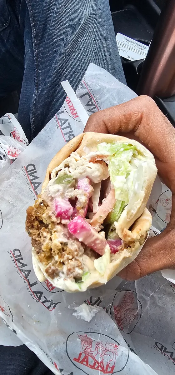 Falafel Wrap