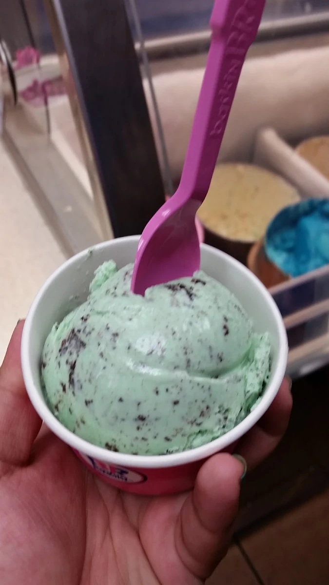 It's not a Dish It's Mint Chocolate Chip Ice Cream