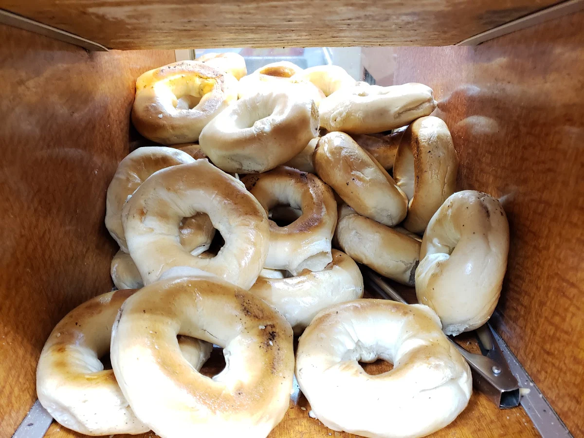 Plain Bagel