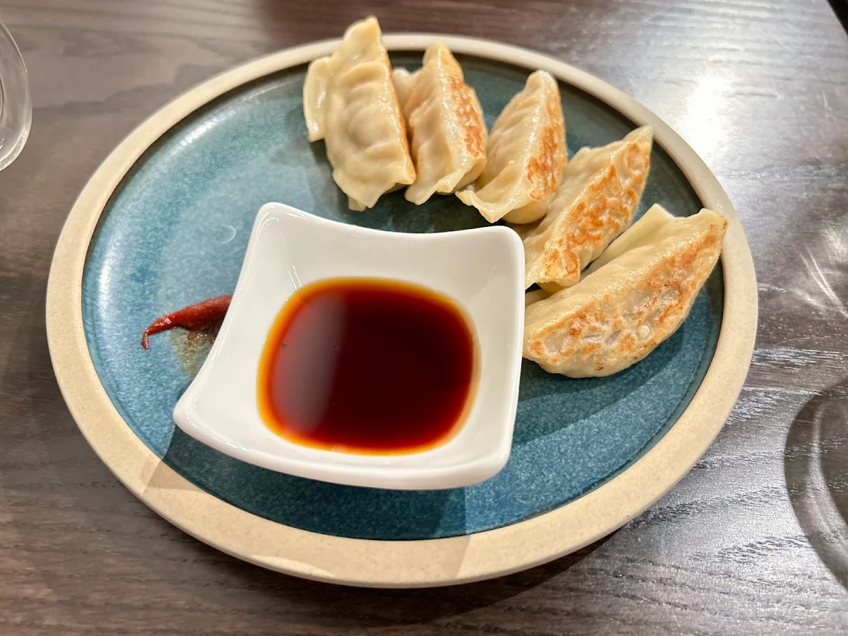 Beef Gyoza Dumplings