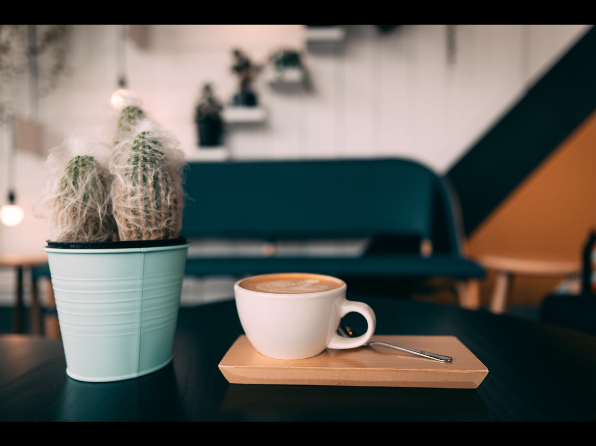 Highlights, Rosso Coffee Roasters