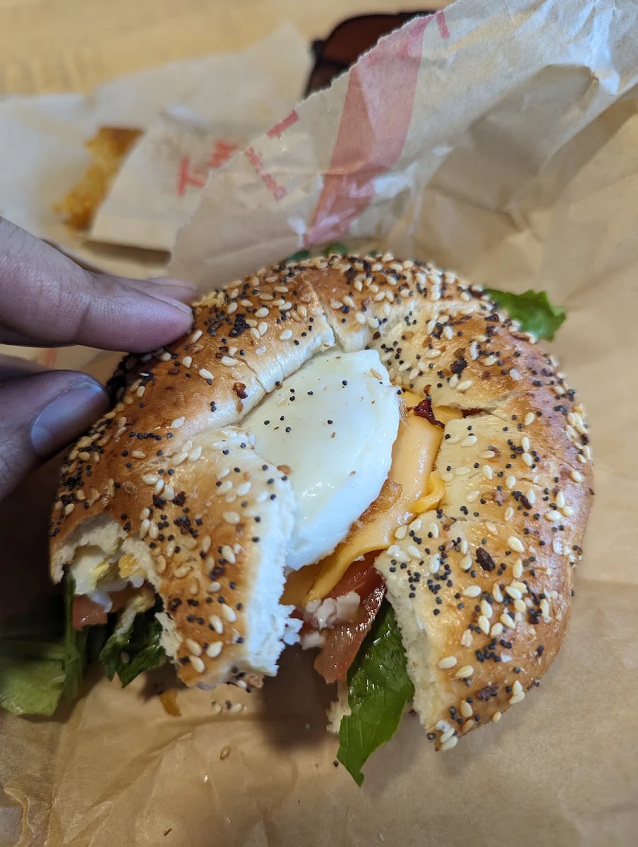 Everything Bagel