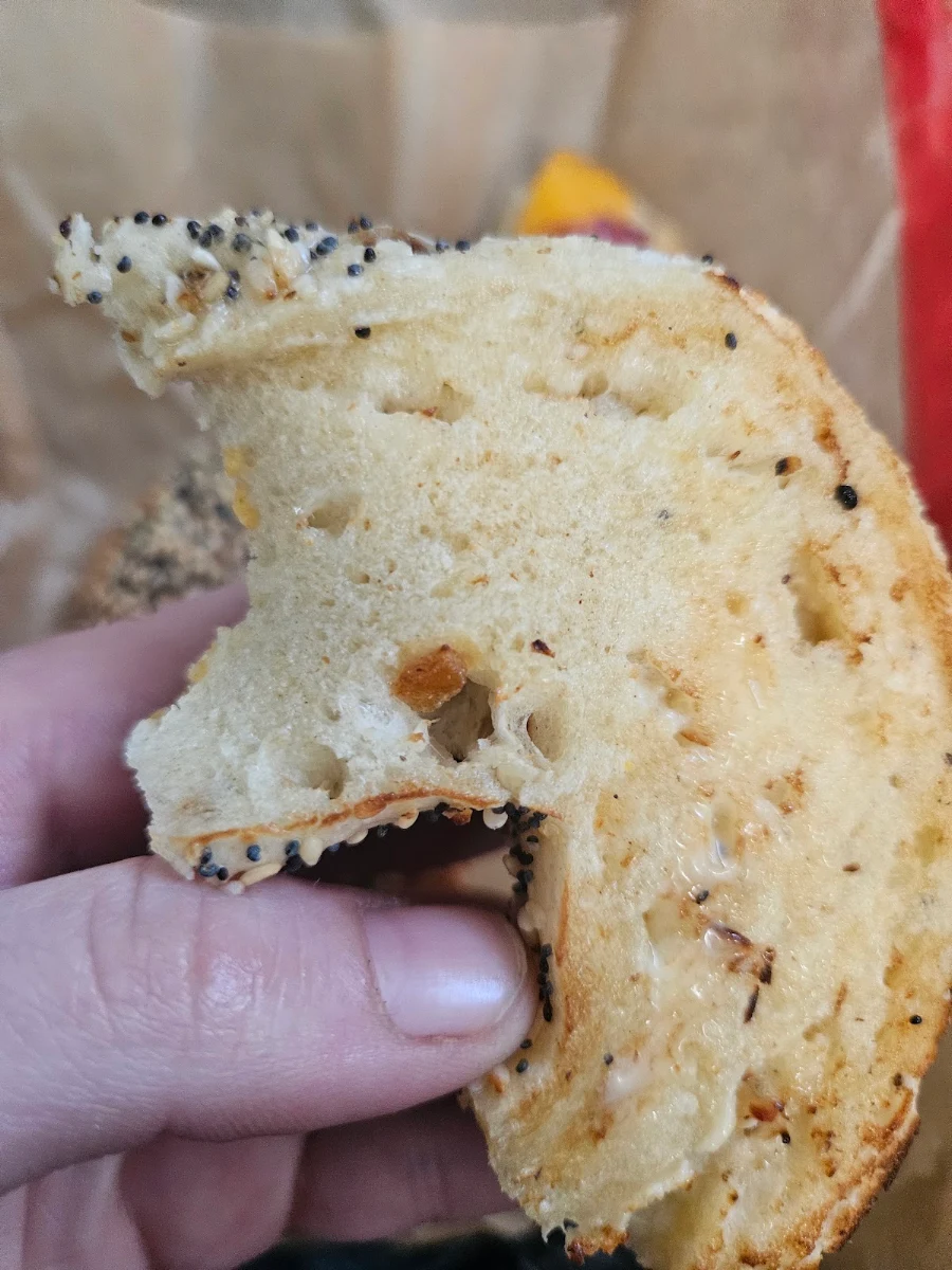 Everything Bagel