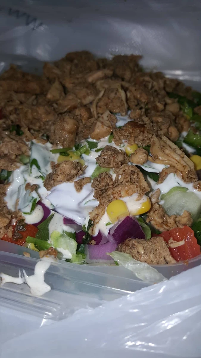 Naked Chicken Burrito Fully Loaded
