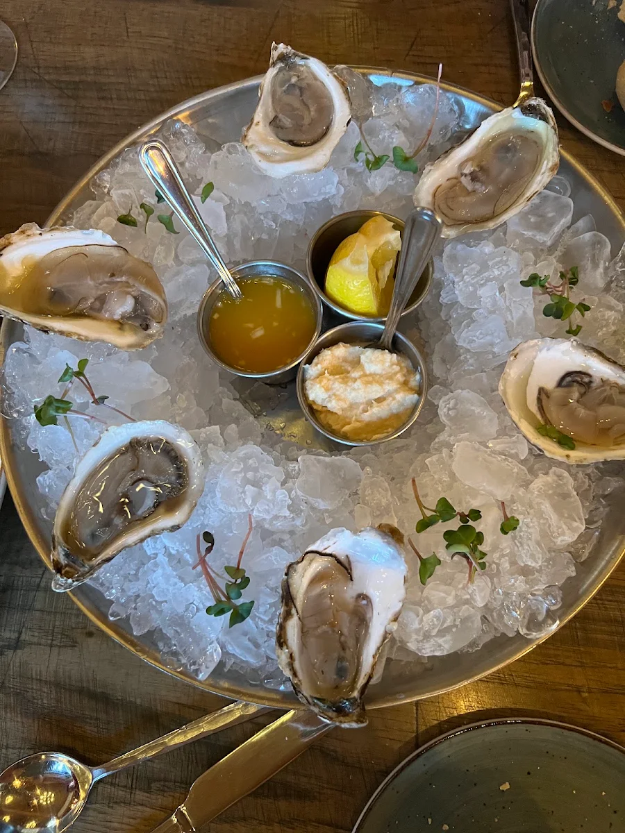 Oysters from the East Coast