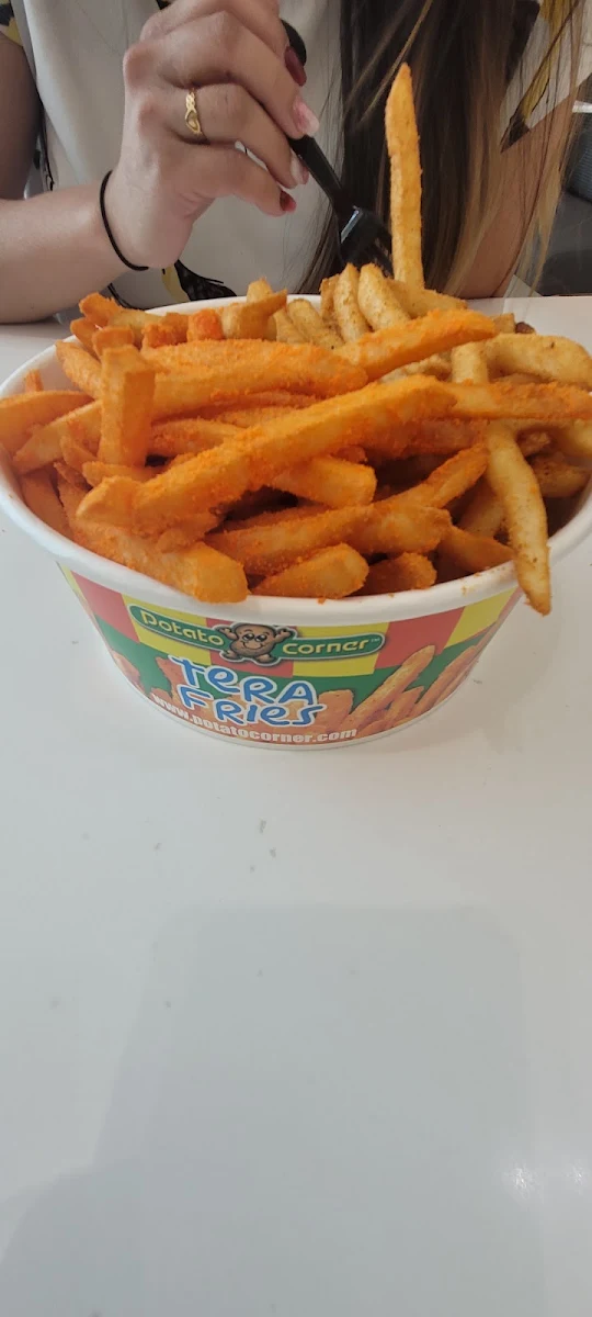 Cheese Fries