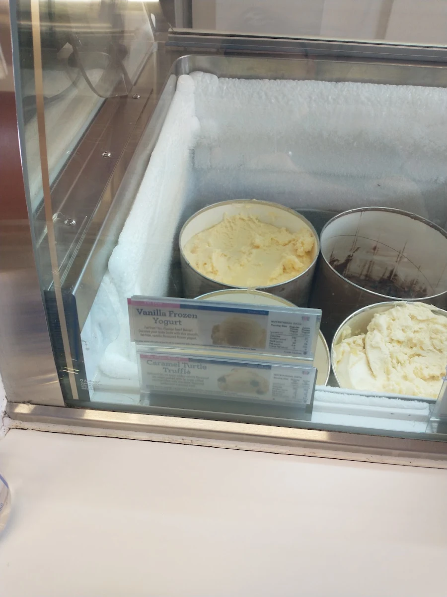 Vanilla Frozen Yogurt Fat Free