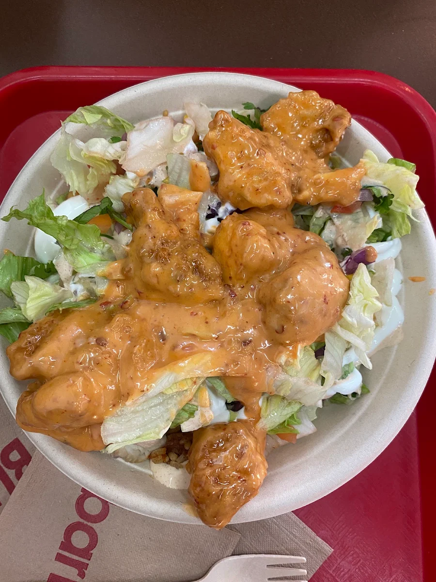 Burrito Bowl