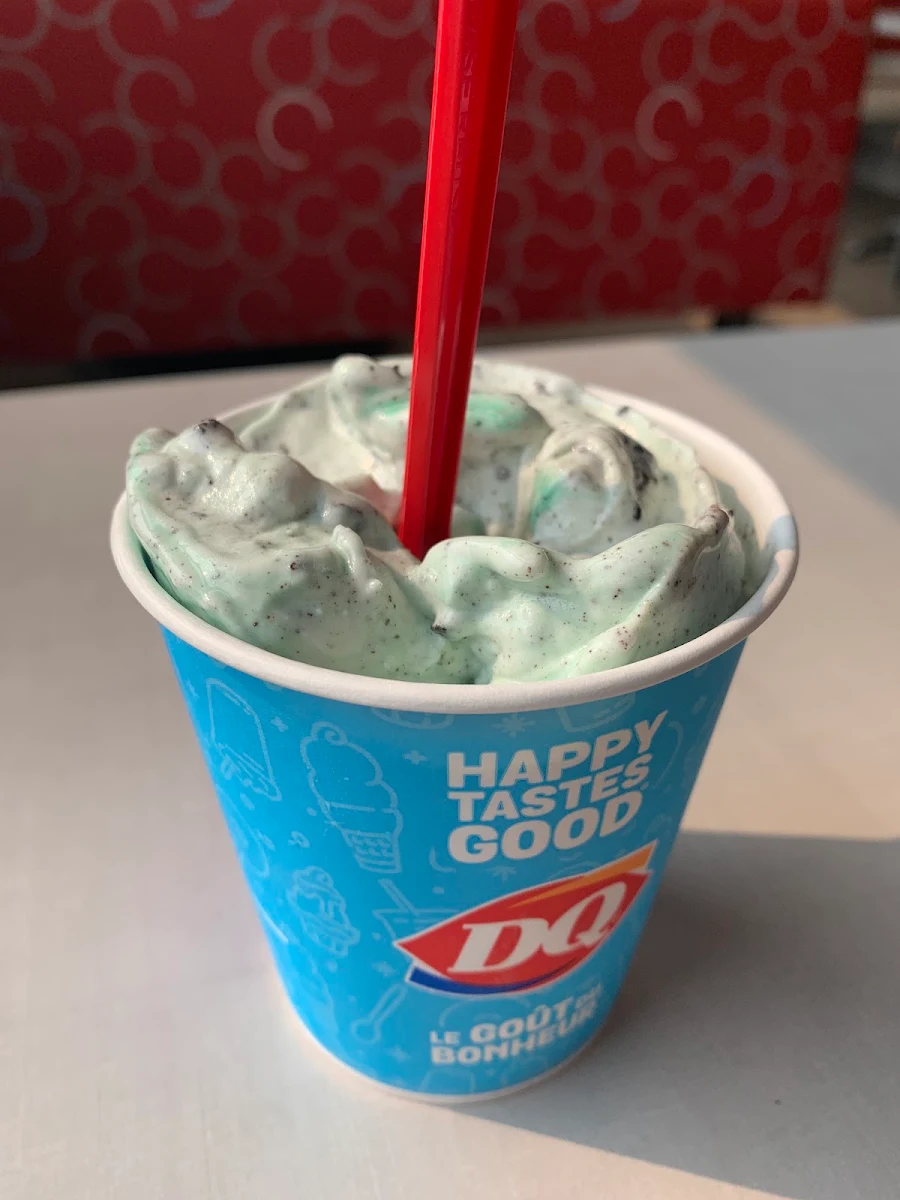 Mint Oreo Blizzard Treat