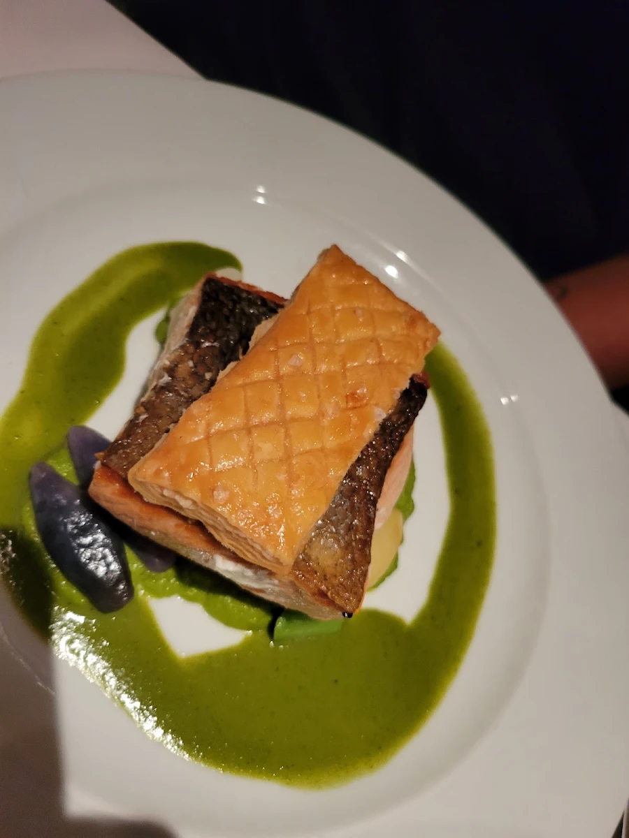 Salmon