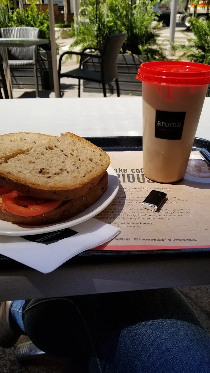 Italian Cheese Sandwich