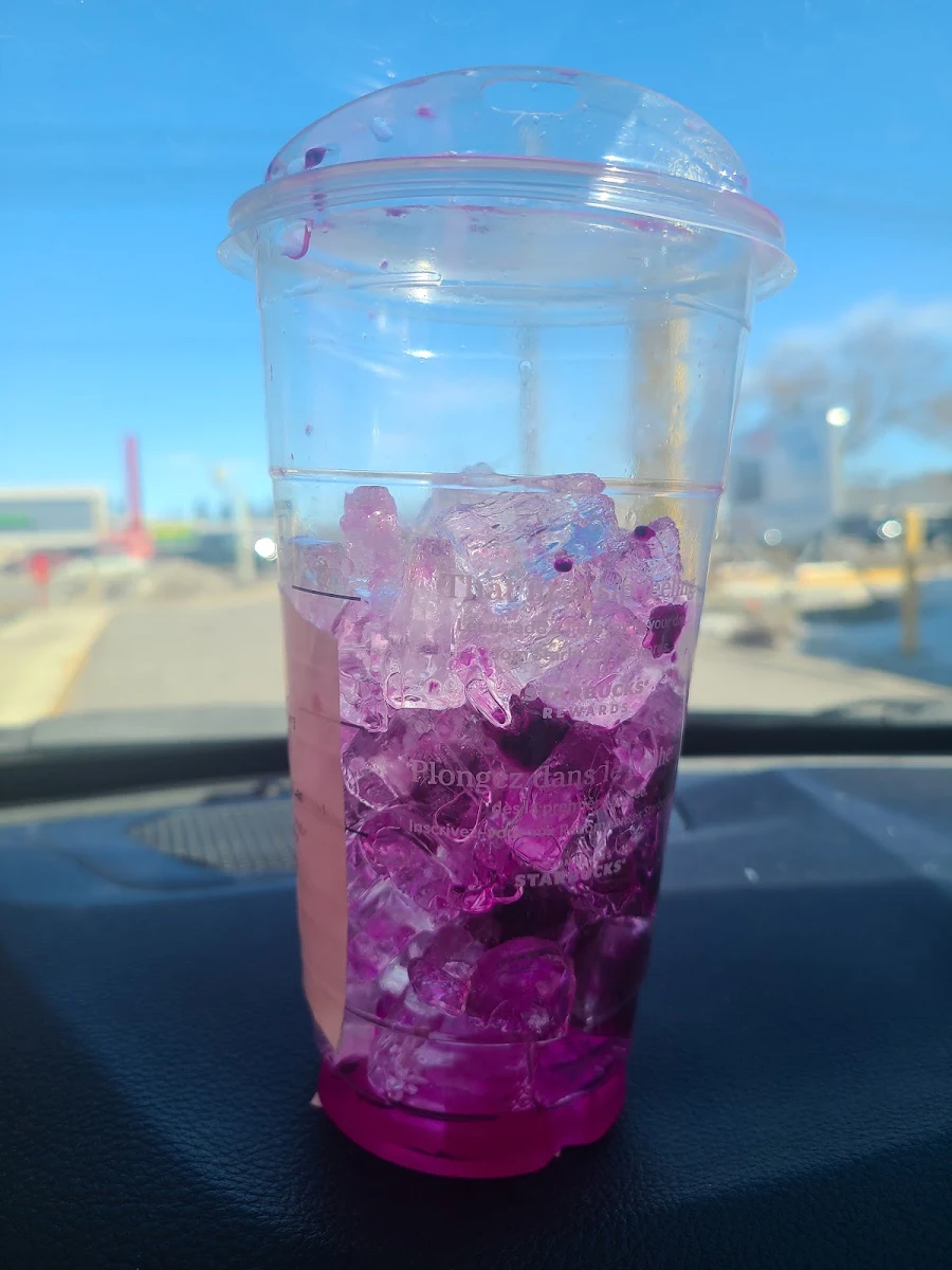 Dragon Fruit Drink with Way Too Much Ice
