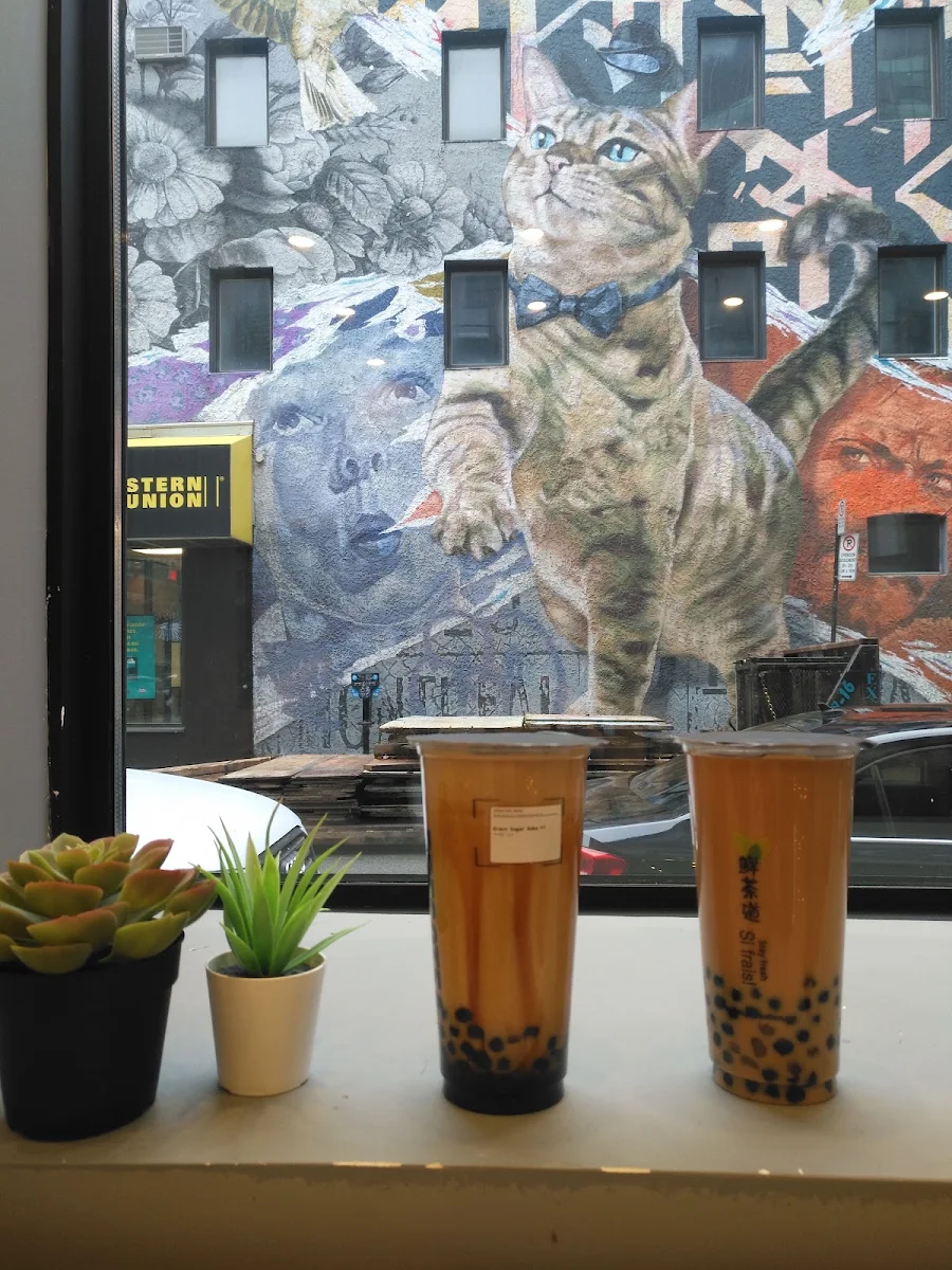 Panda Milk Tea & Brown Sugar Milk Tea