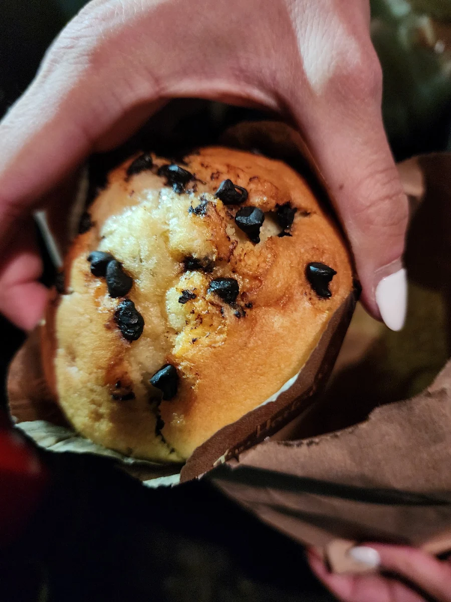 Chocolate Chip Muffin