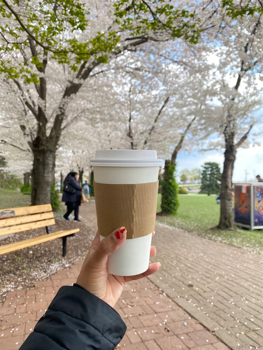 Latte, The Sunshine Doughnut Co.