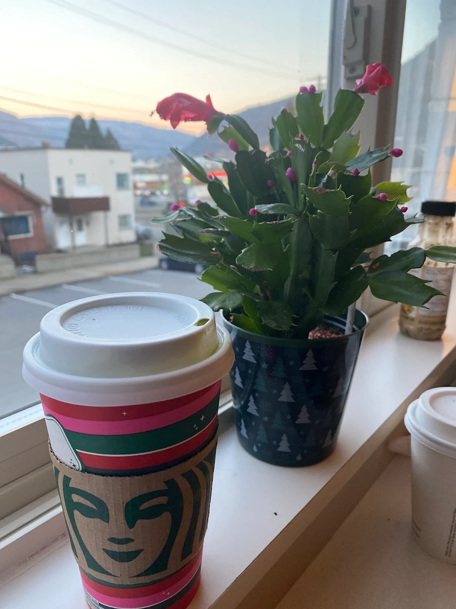 Matcha Tea