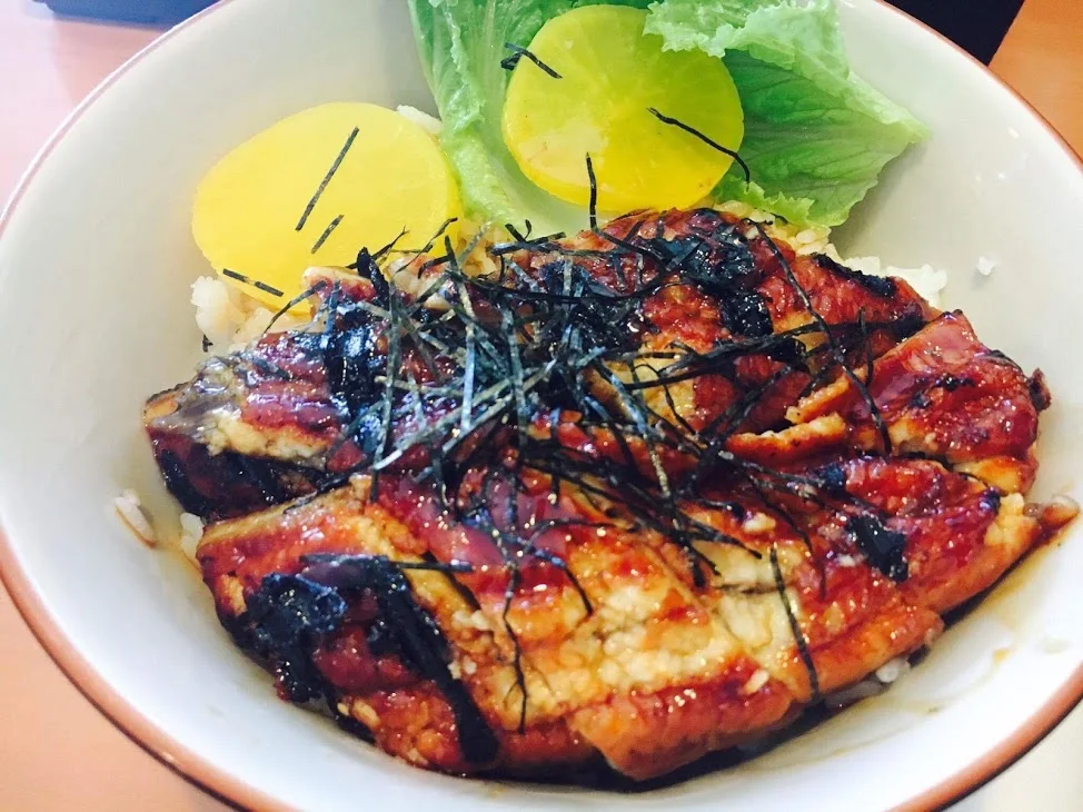 Unagi Don