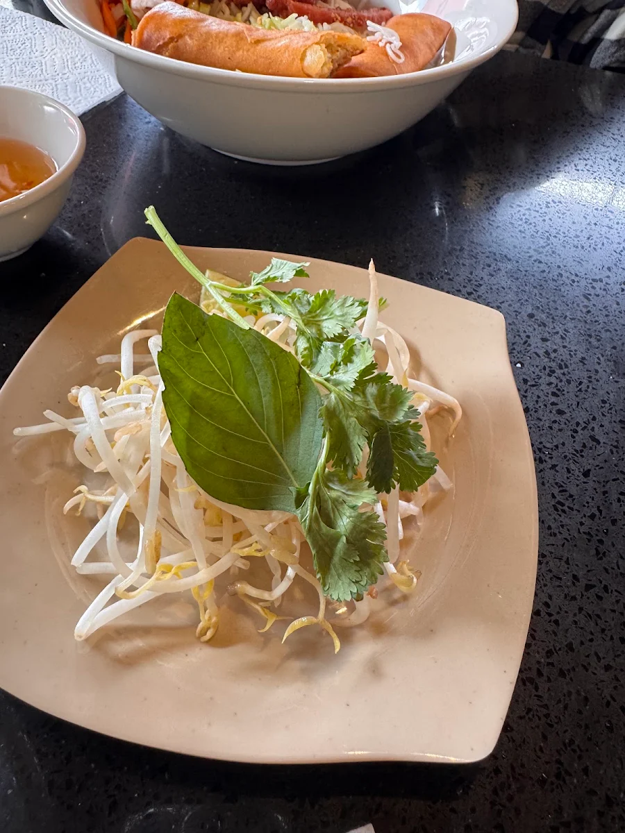 Basil Leaf, Pho 54