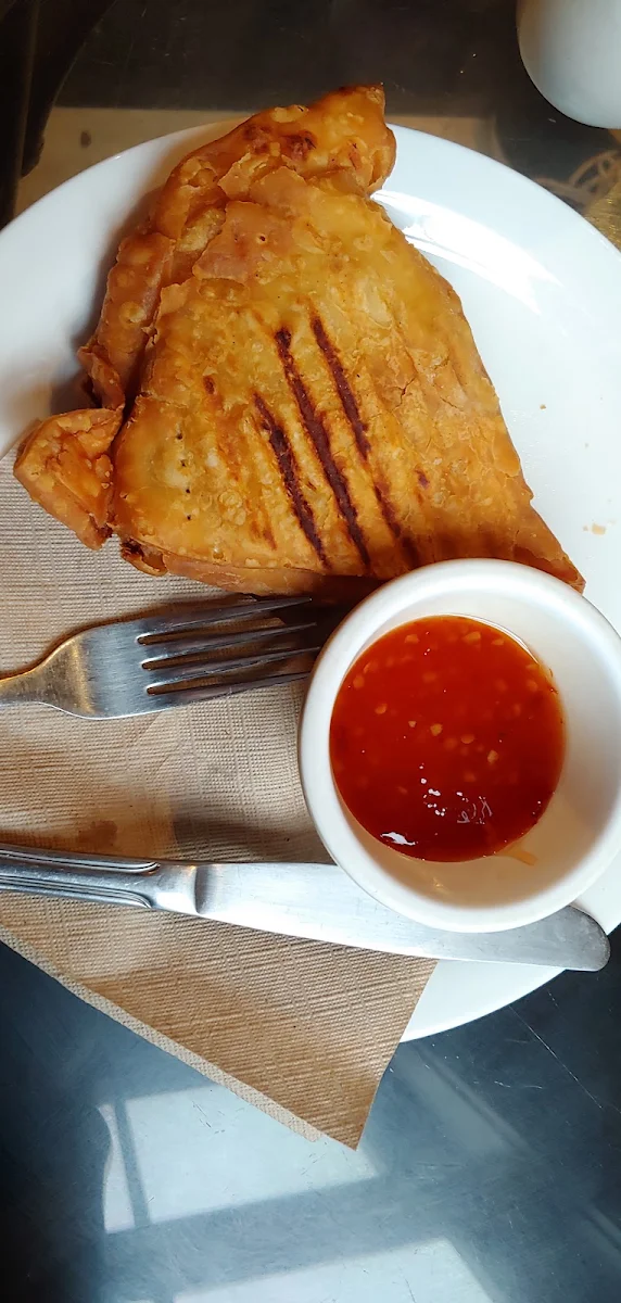 Chicken Samosa