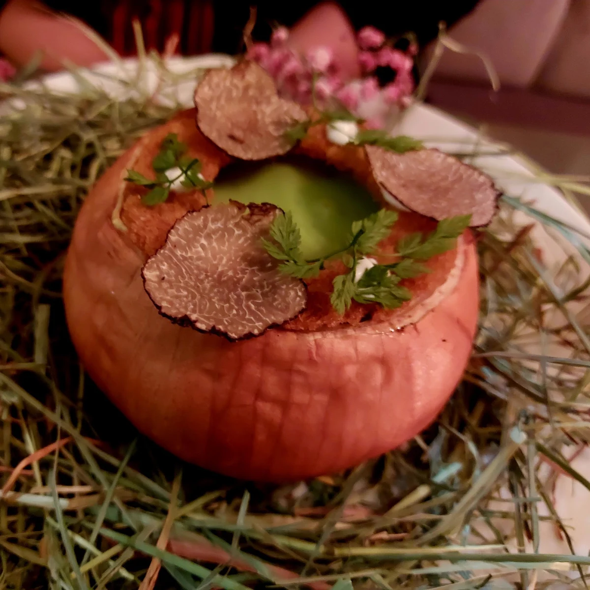 Onion Soup