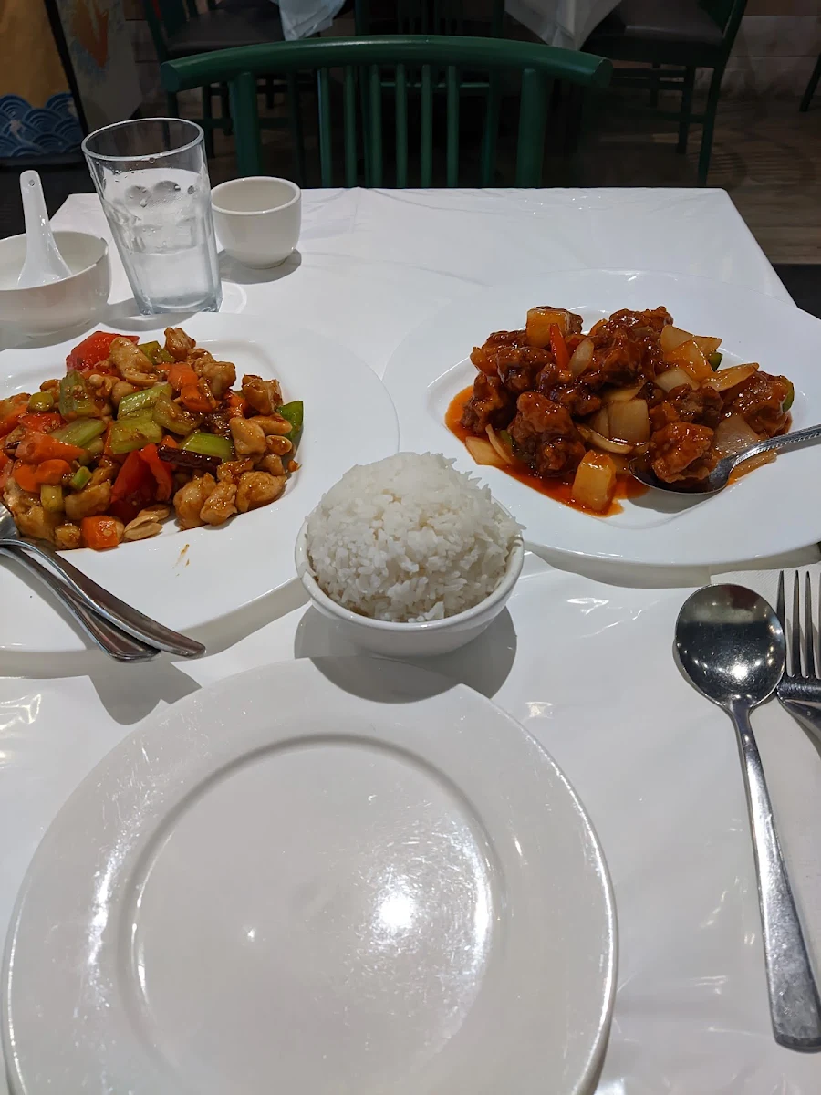 Kung Pao Chicken Sweet Sour Pork Steamed Rice