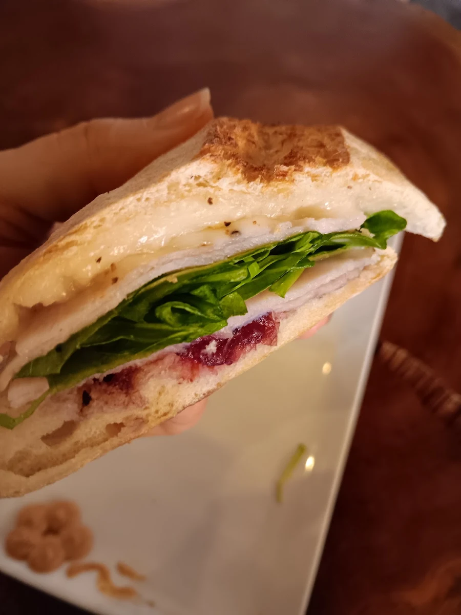 Turkey & Cranberry Panini