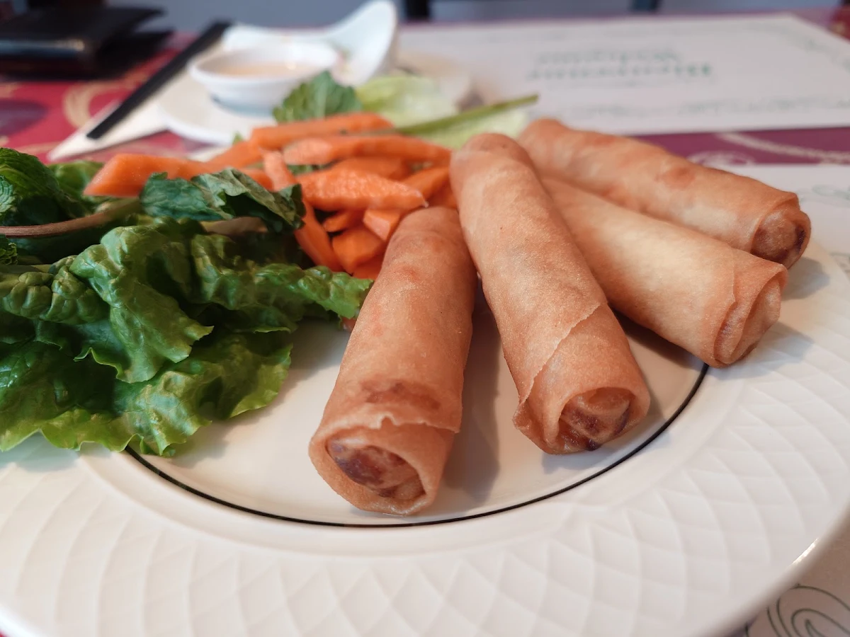 Veg Spring Roll