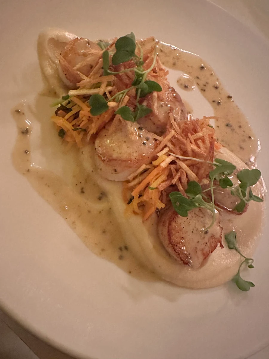 Scallops