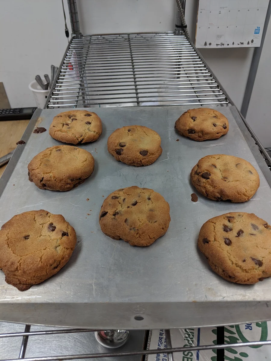 Scratch-Made Chocolate Chip Cookies