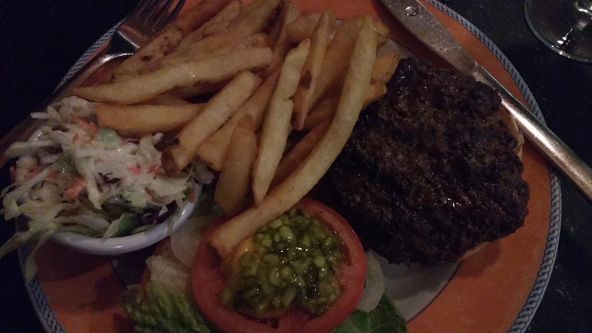Bison Burger
