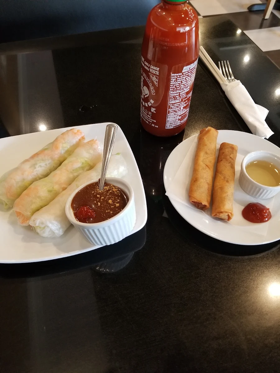 Spring Rolls and Salad Rolls