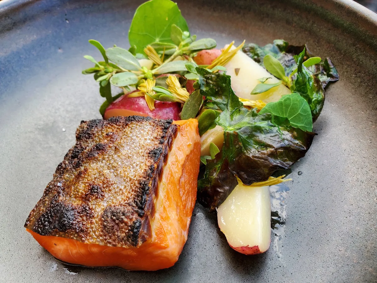 Arctic Char