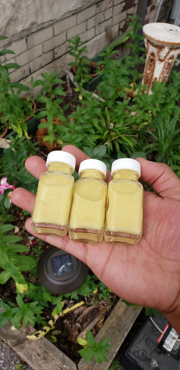 Lemon Ginger Shot
