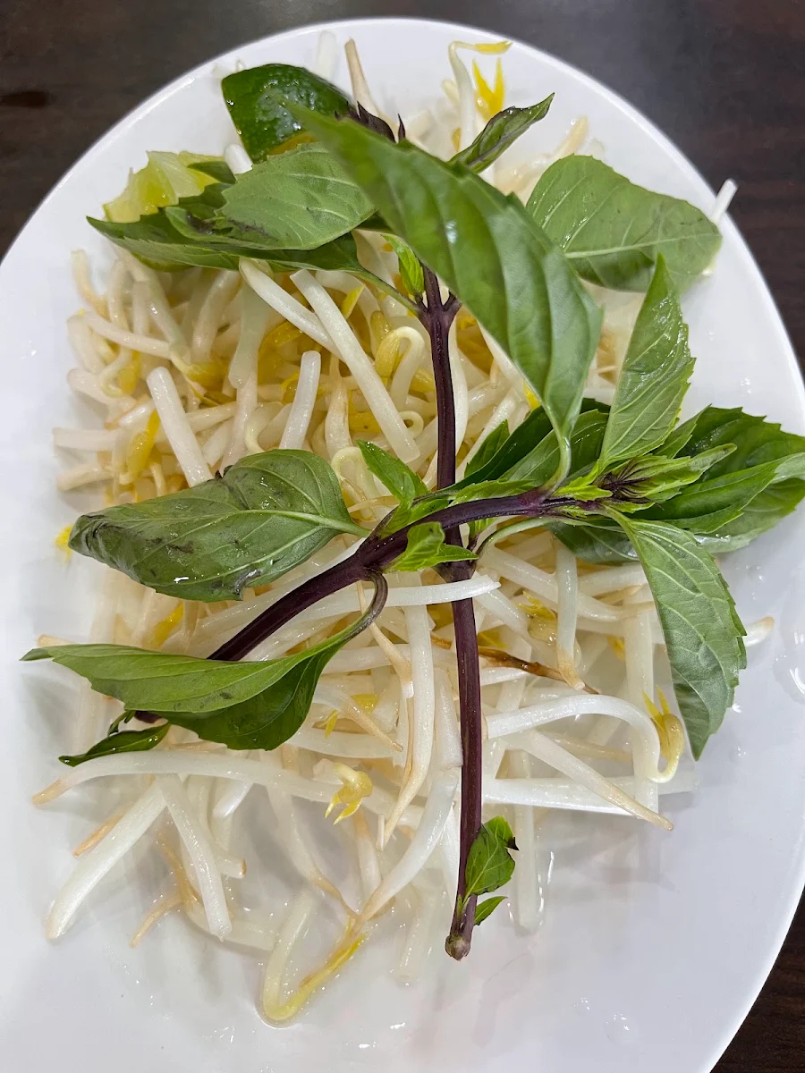 Phở Rau Cải