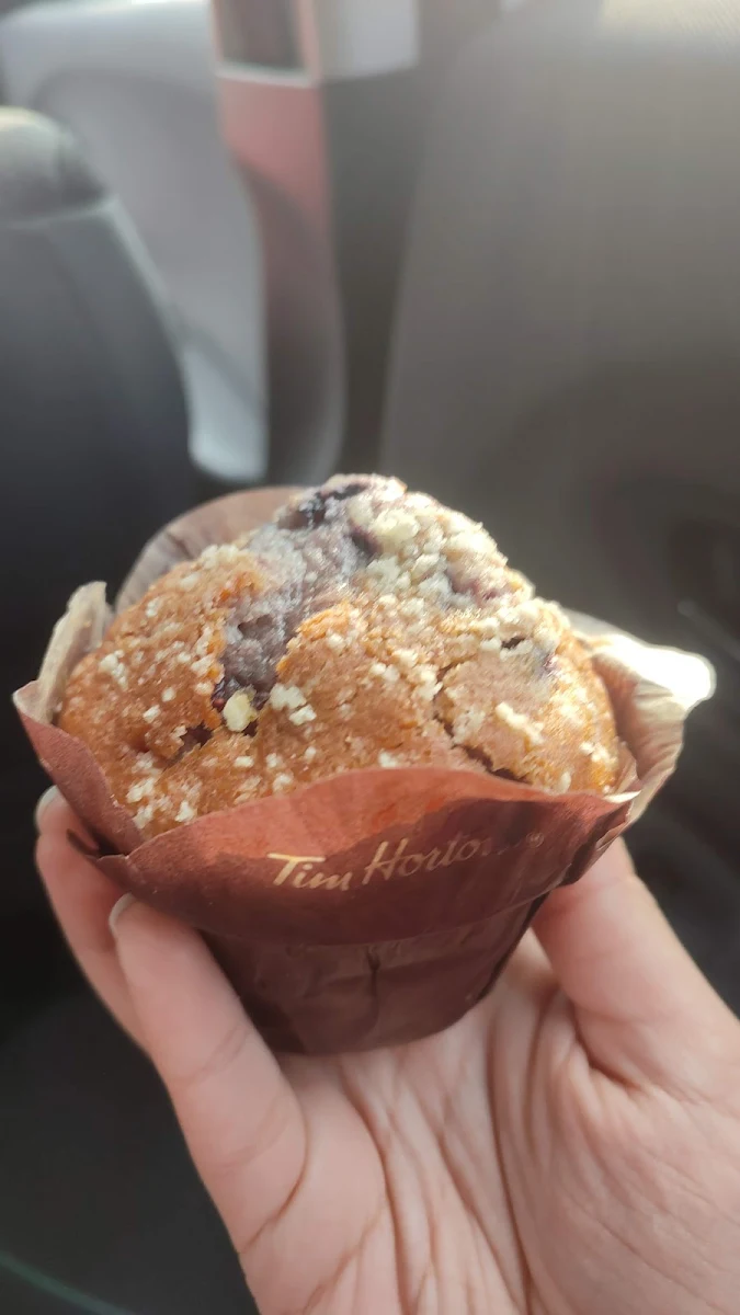 Blueberry Muffin