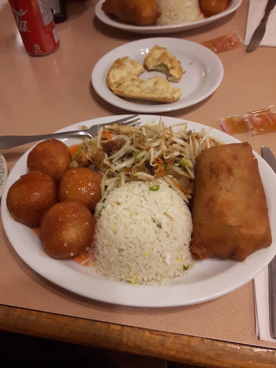 Combo for 1 Egg Roll Chicken Fried Rice Chicken Chop Suey