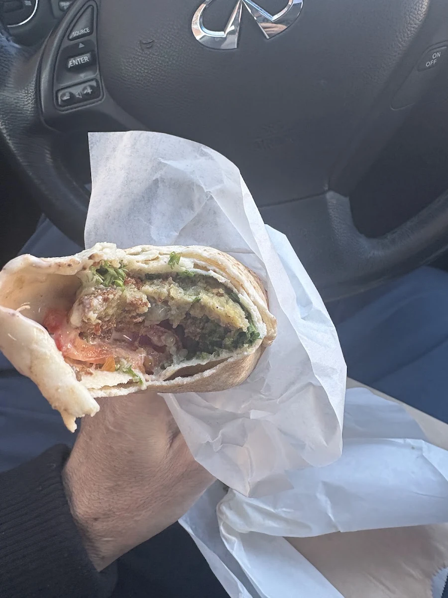 Falafel Pita