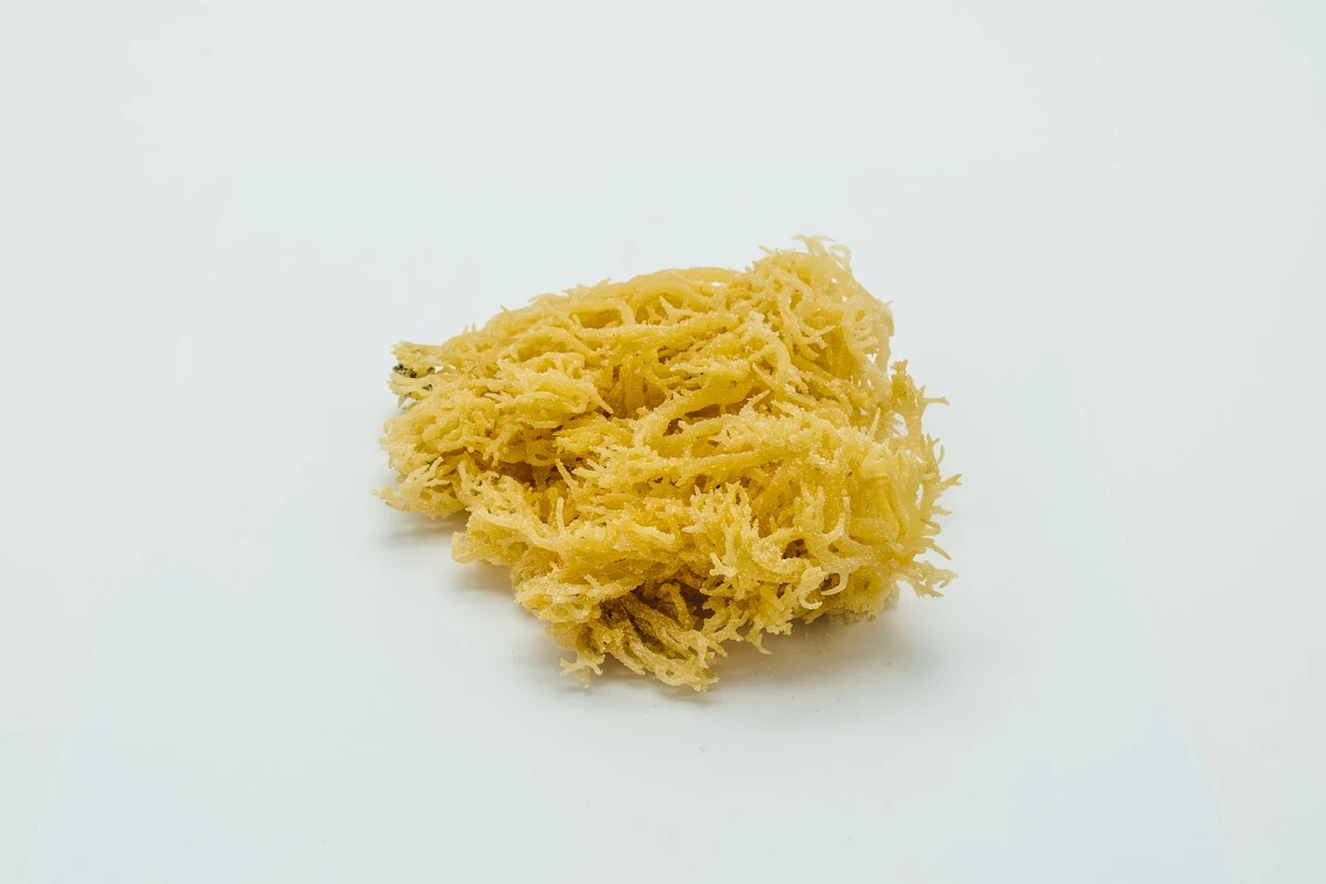 Sea Moss