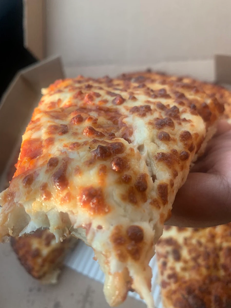 Double Cheese Pizza