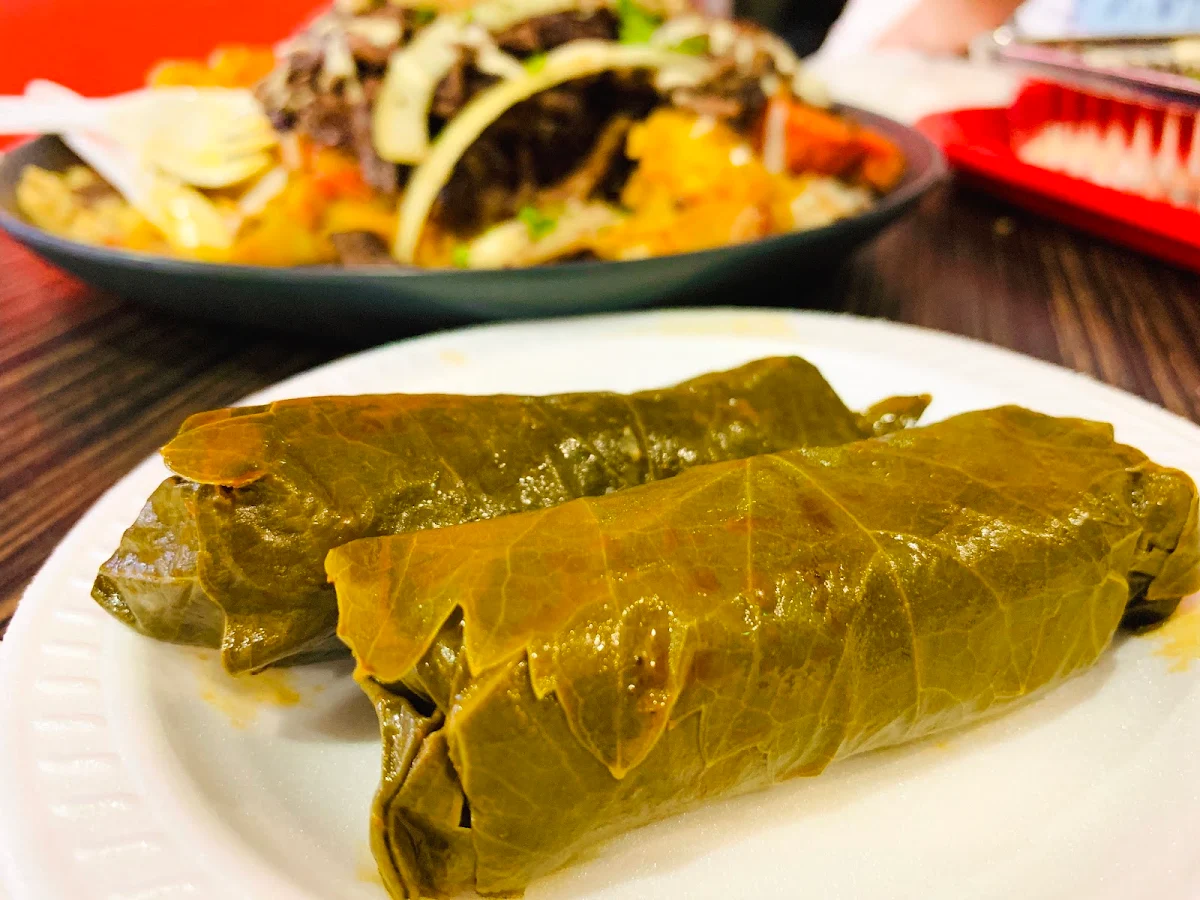 Feuilles de Vignes Entrée Vine Leaves Appetizer