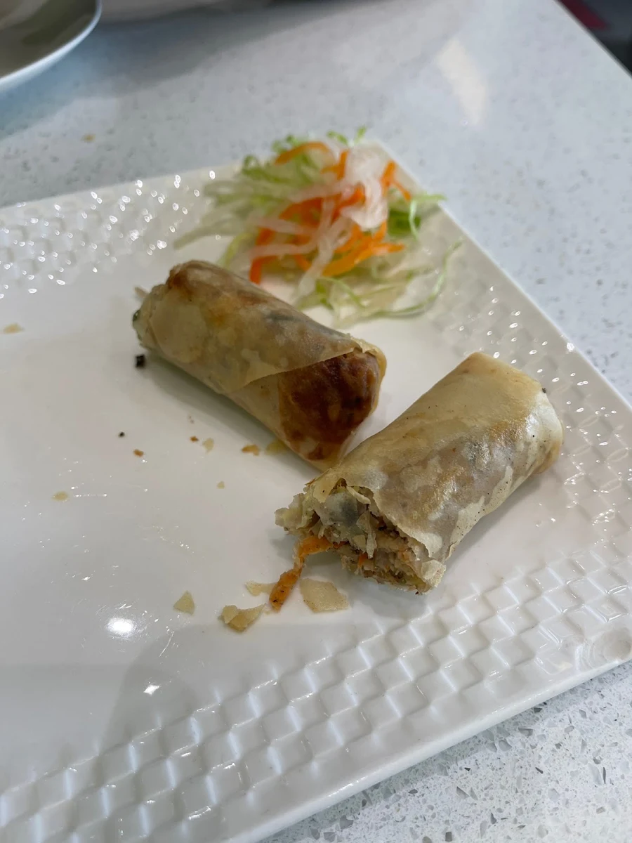 Vegetarian Spring Roll