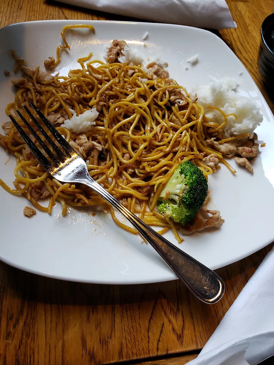 Noodles Chicken Broccoli in Teriyaki Sauce