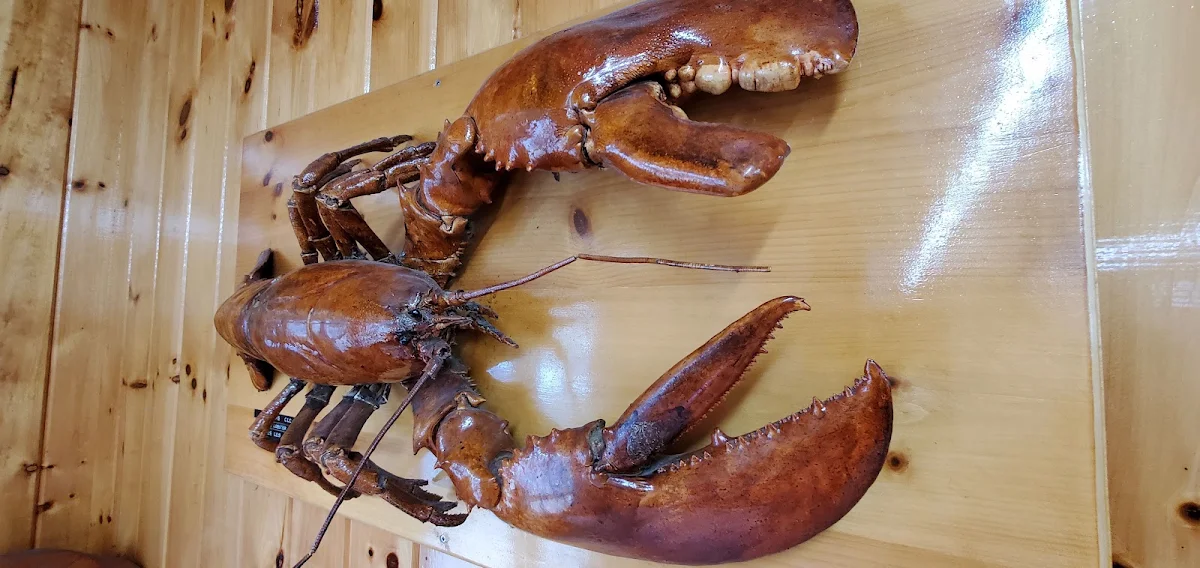 Lobster 1