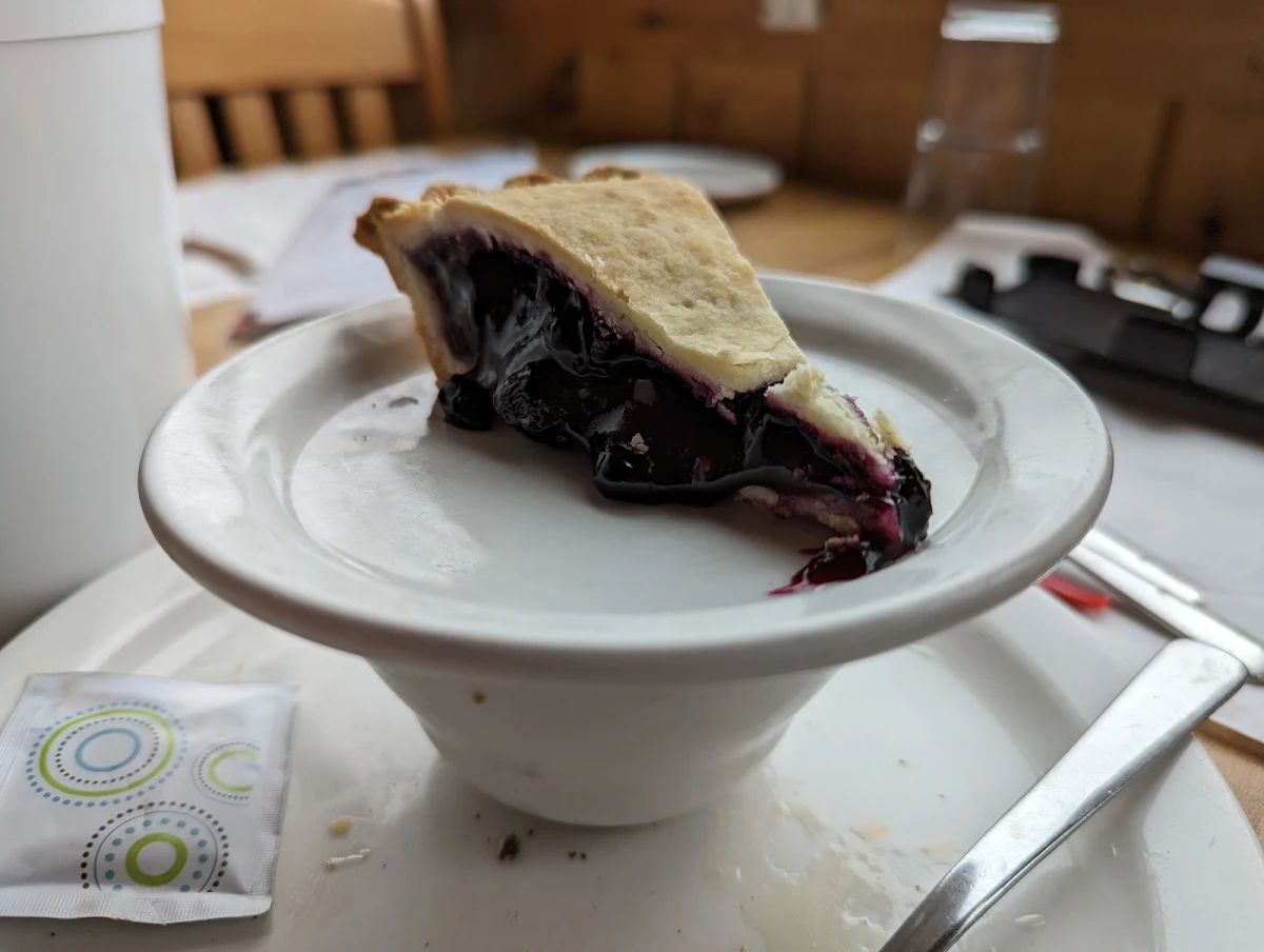 Slice of Blueberry Pie