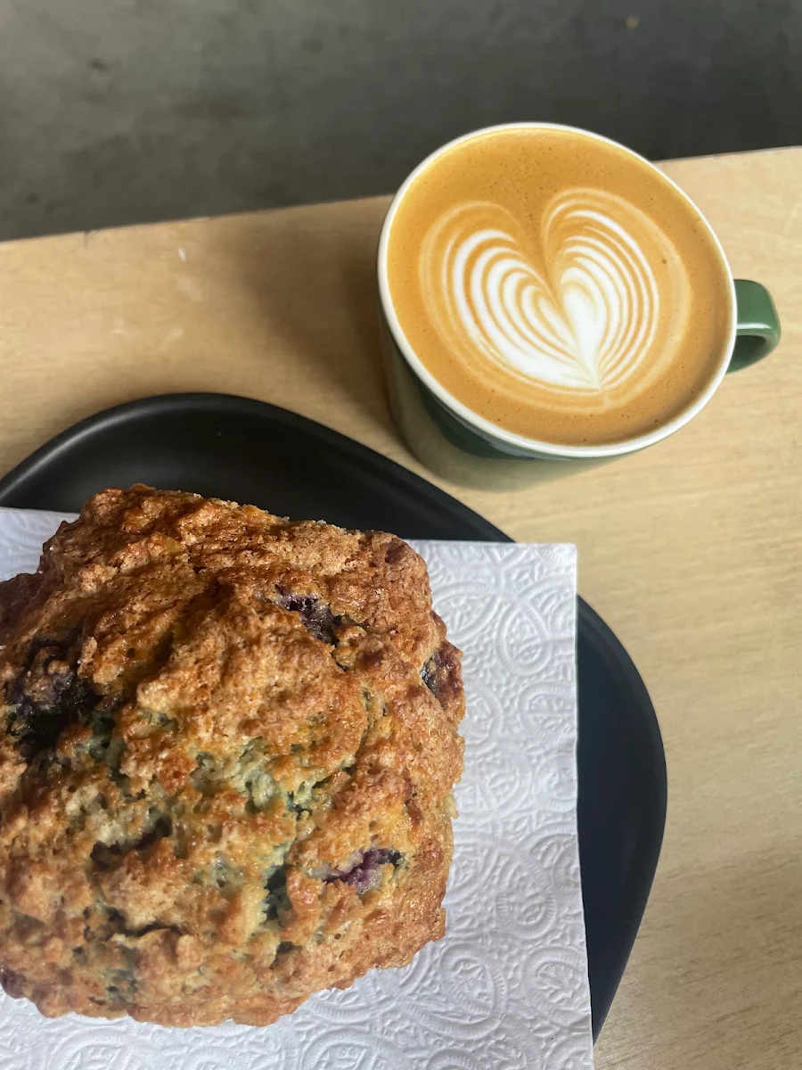 Blueberry Muffin