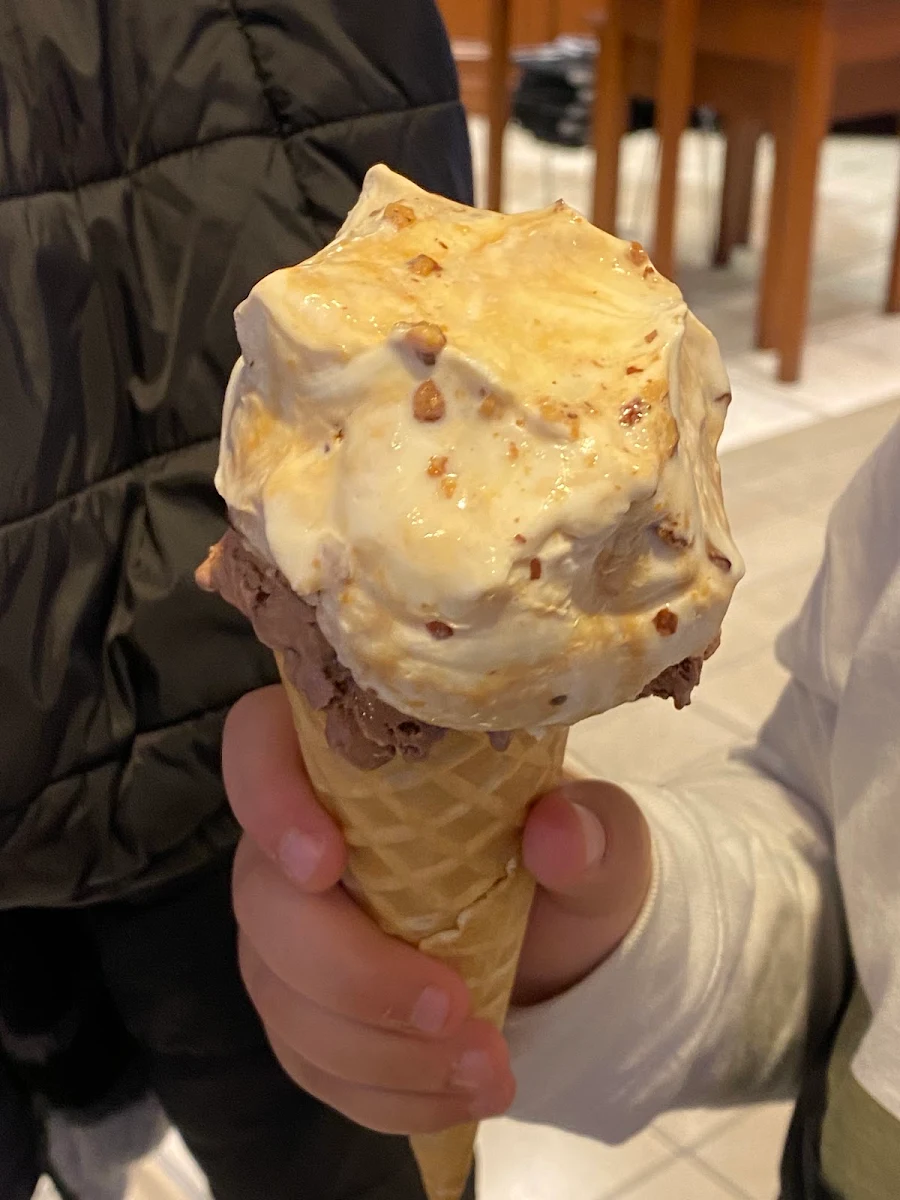 Chocolate and Vanilla Ice Cream