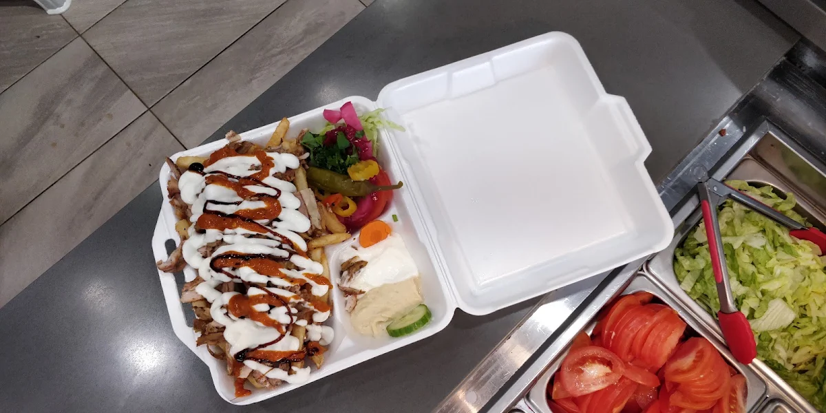Shawarma Plate with Fries
