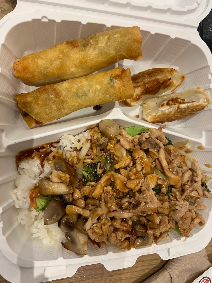 Teriyaki Chicken with Spring Rolls and Gyoza