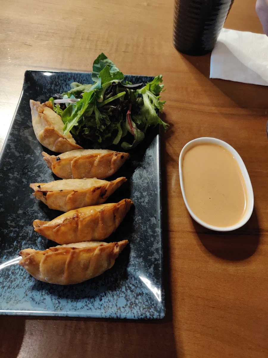 Age Gyoza