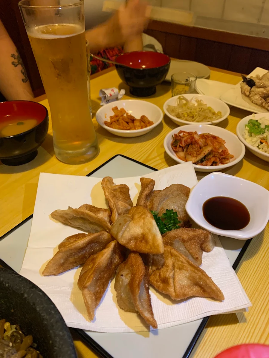 Fried Dumplings